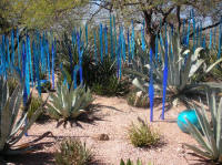  Desert Botanical Garden