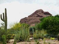  Desert Botanical Garden
