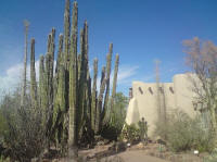  Desert Botanical Garden