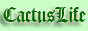 Cactus Life - кактусы в вашем доме