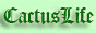 Cactus Life - кактусы в вашем доме